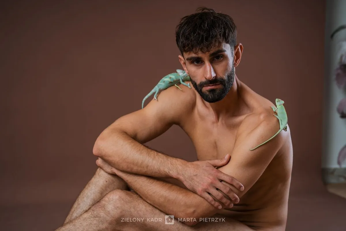 Gady — 031